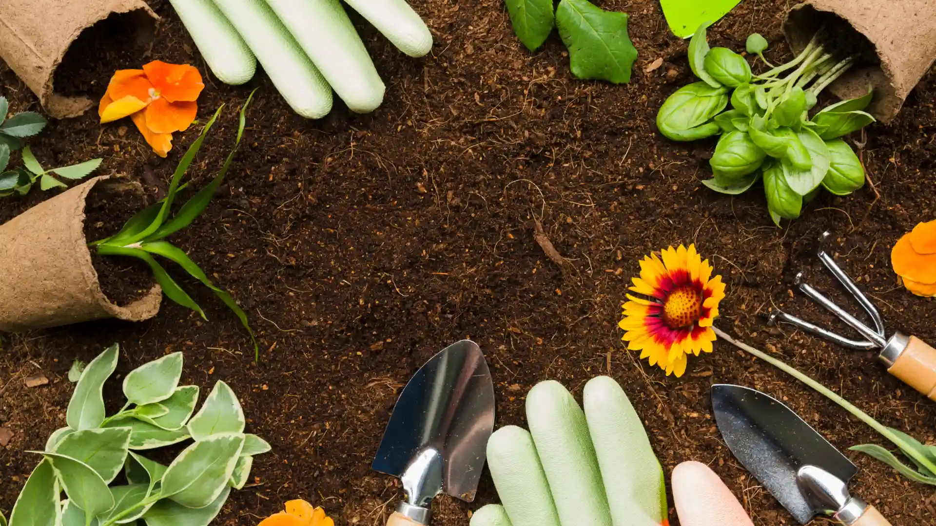 Gardening