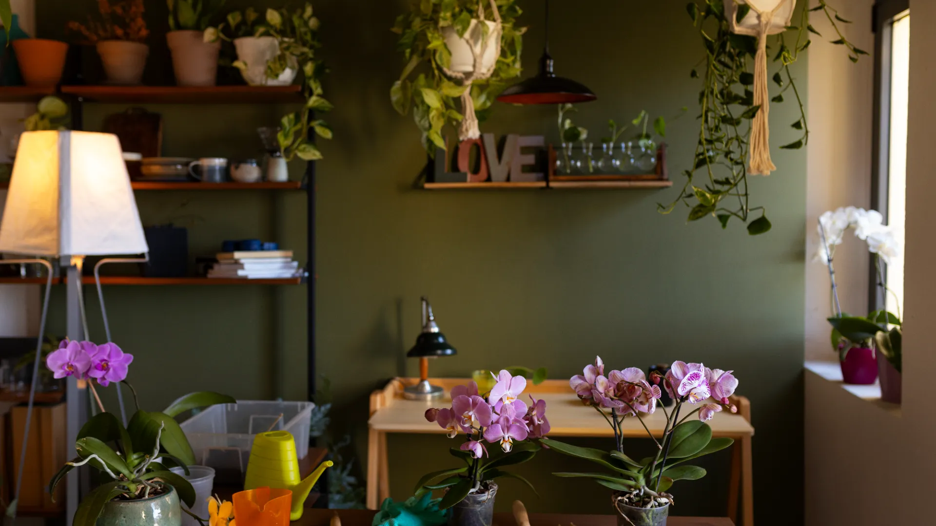 Decoradyard for Indoor Spaces