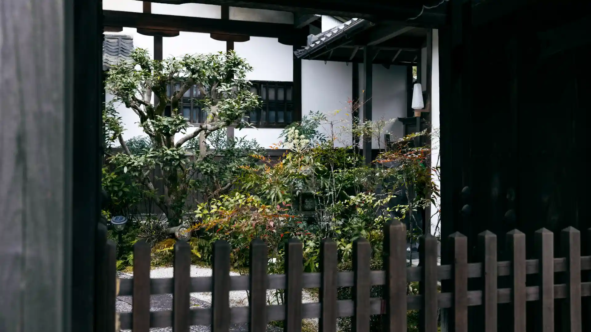 Privacy Solutions for backyard