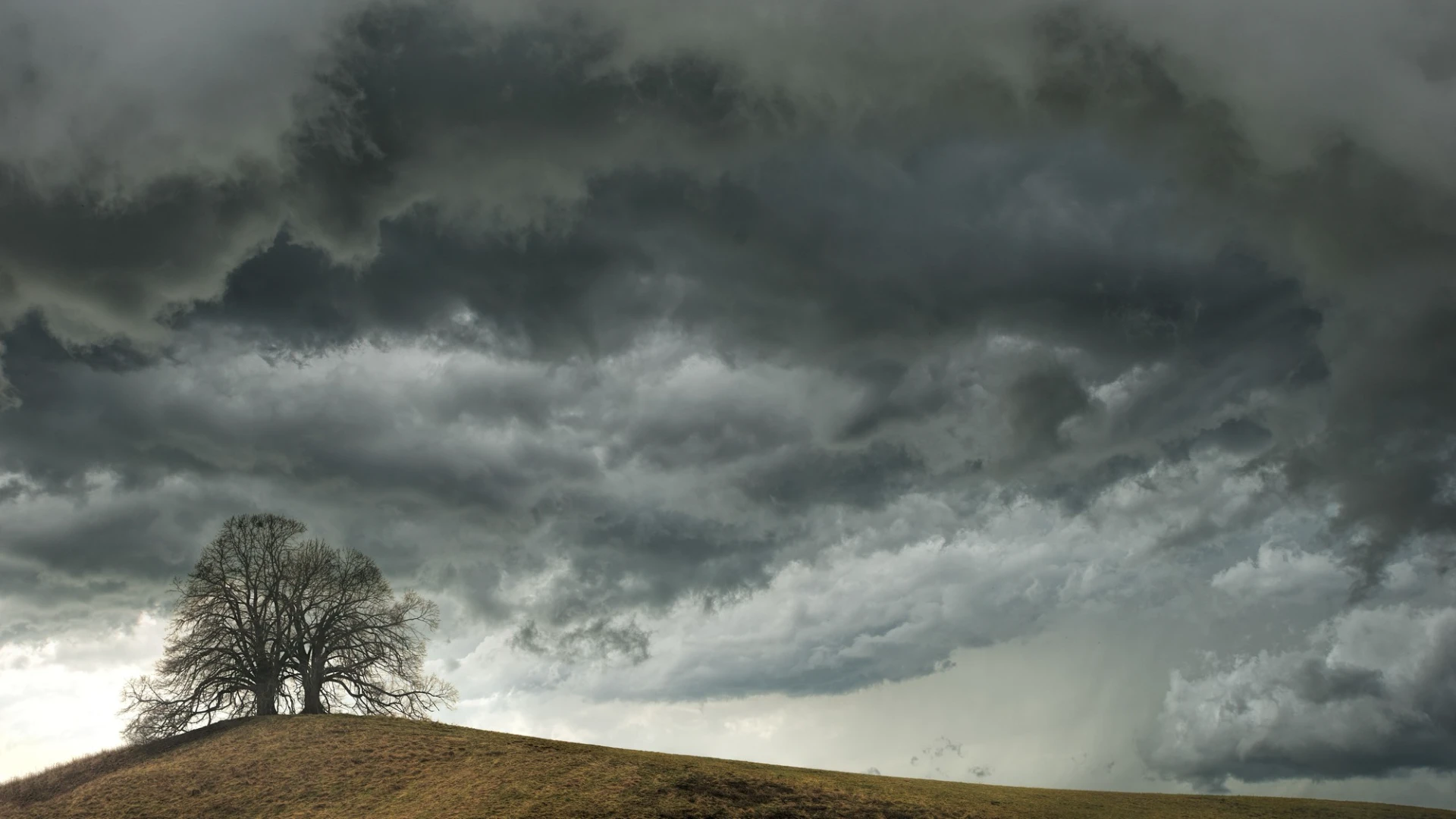What Homeowners Should Inspect Before Hurricane Season