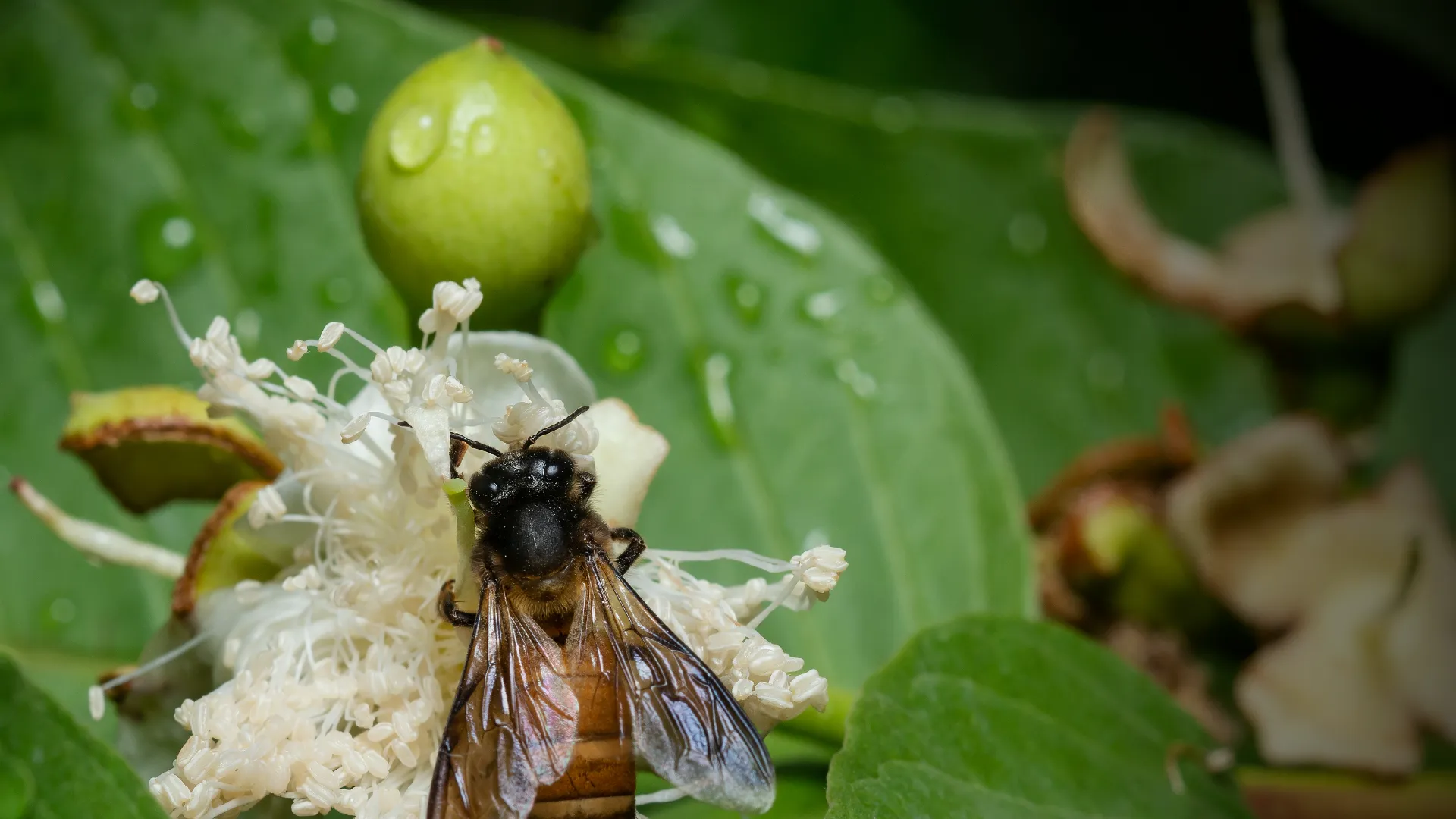 How to Tell If You Have a Pest Problem Before It Gets Out of Control